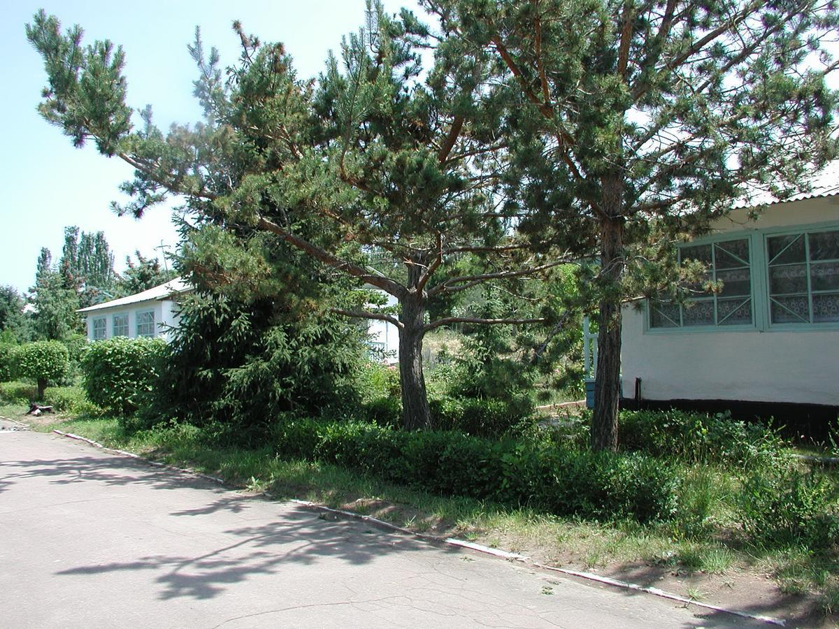 Legenda Health Resort Kaji-Say Exterior photo